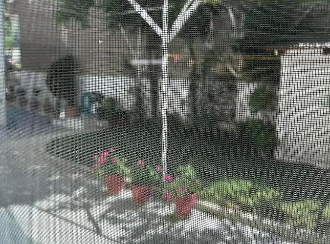 Angel home